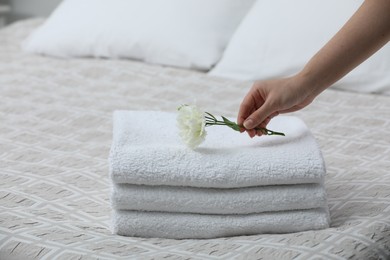 Photo of Woman putting Eustoma flower on folded towels in bedroom, closeup
