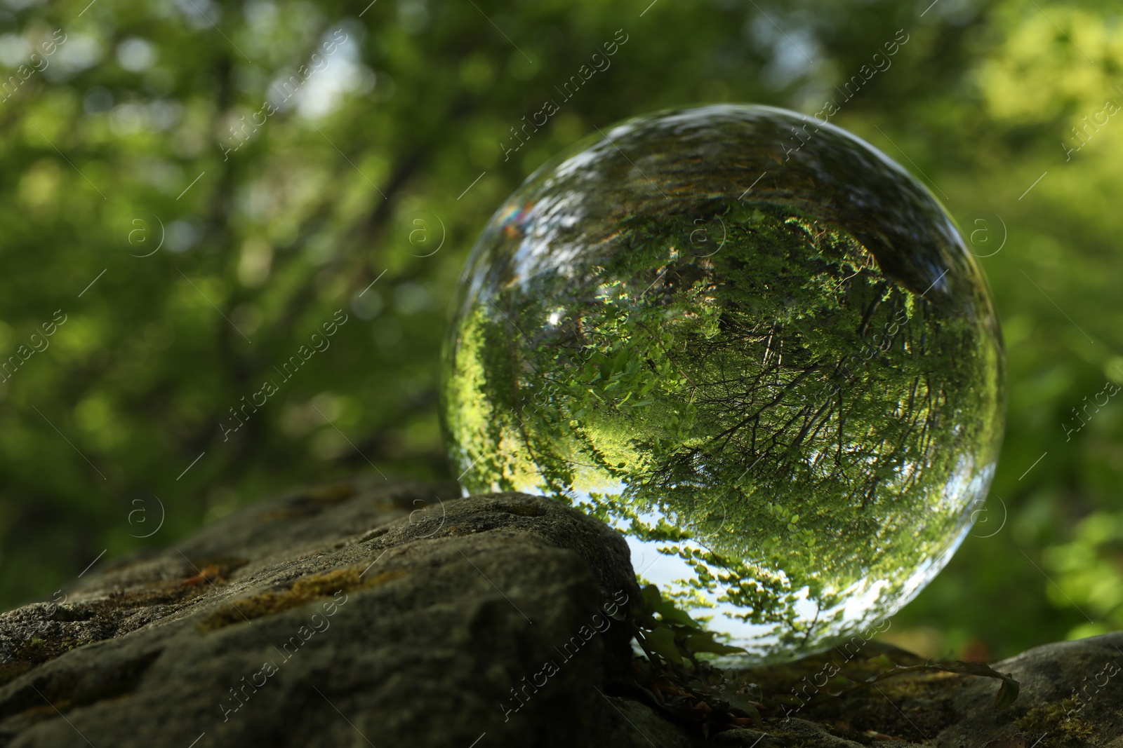 Photo of Beautiful green trees outdoors, overturned reflection. Crystal ball on stone in forest