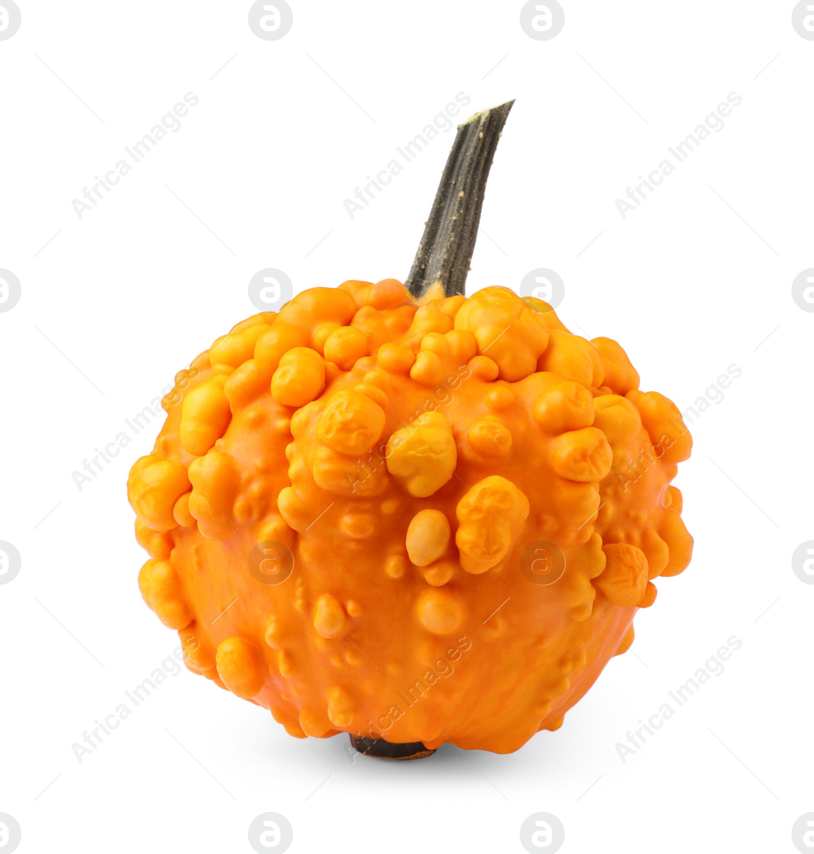 Photo of One whole ripe pumpkin isolated on white