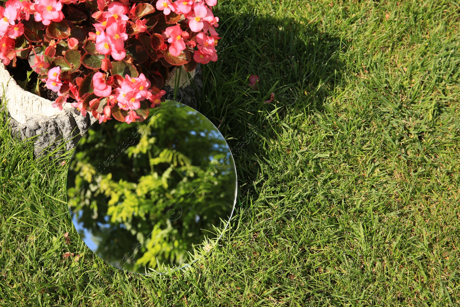 Photo of Round mirror near beautiful flowers on green grass reflecting tree. Space for text