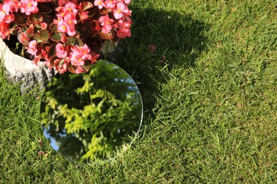 Round mirror near beautiful flowers on green grass reflecting tree. Space for text