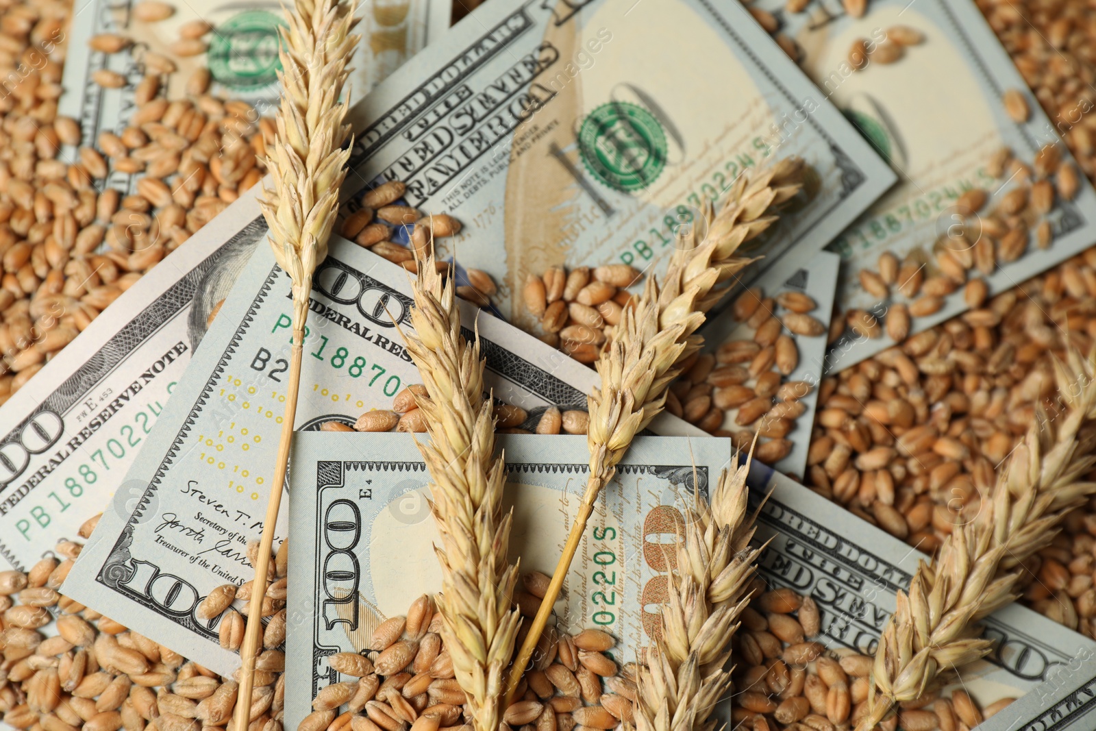 Photo of Dollar banknotes and wheat ears on grains, above view. Agricultural business
