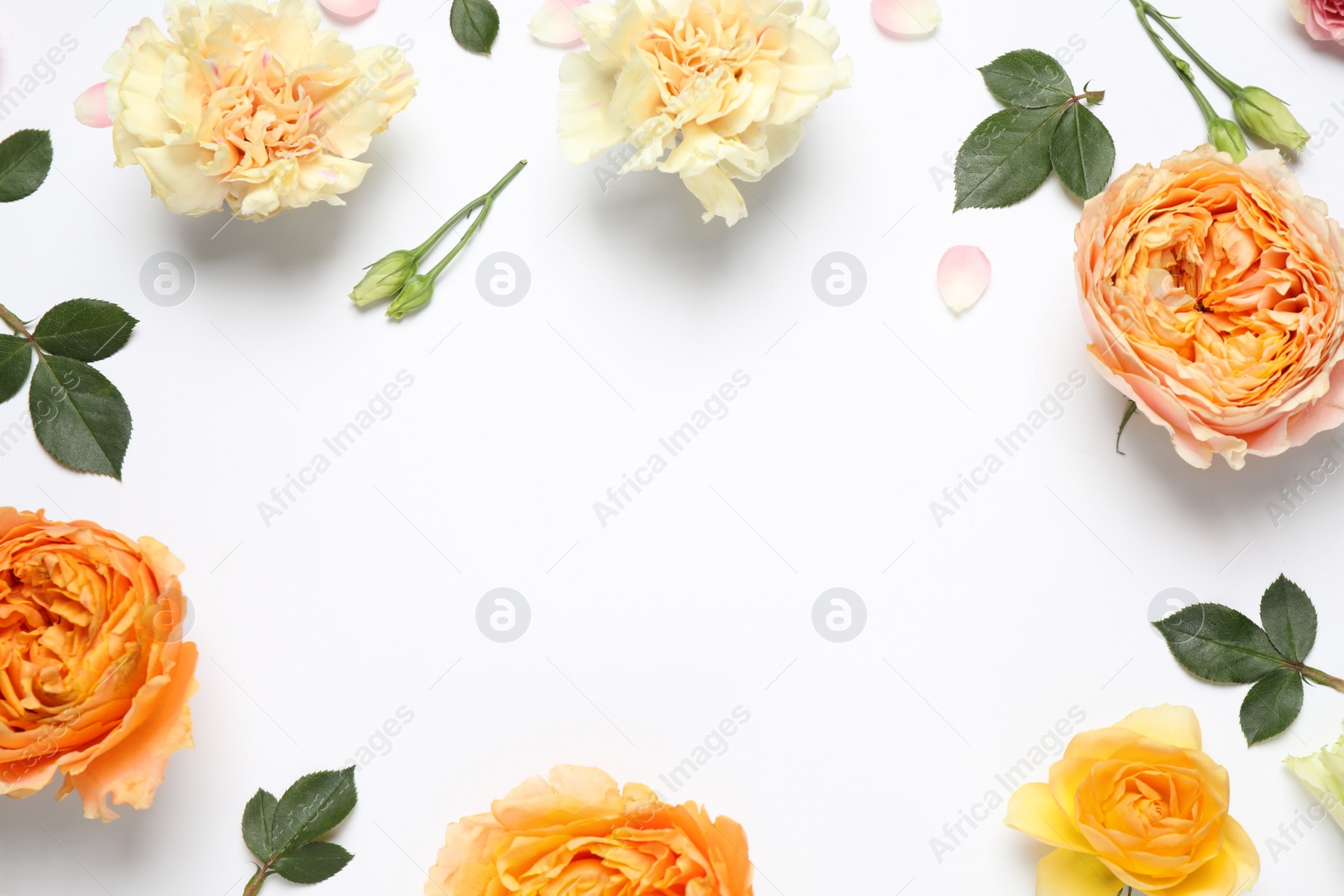 Photo of Frame made of beautiful flowers on white background, flat lay with space for text. Floral composition