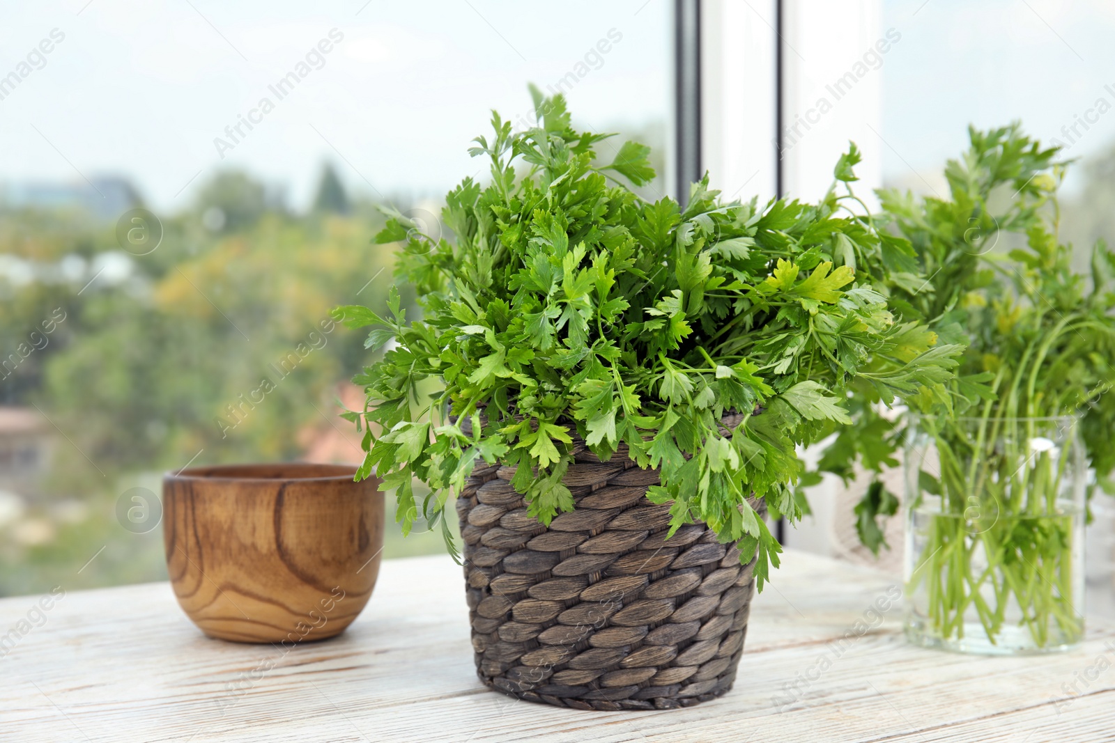 Photo of Wicker pot with fresh green parsley on window sill