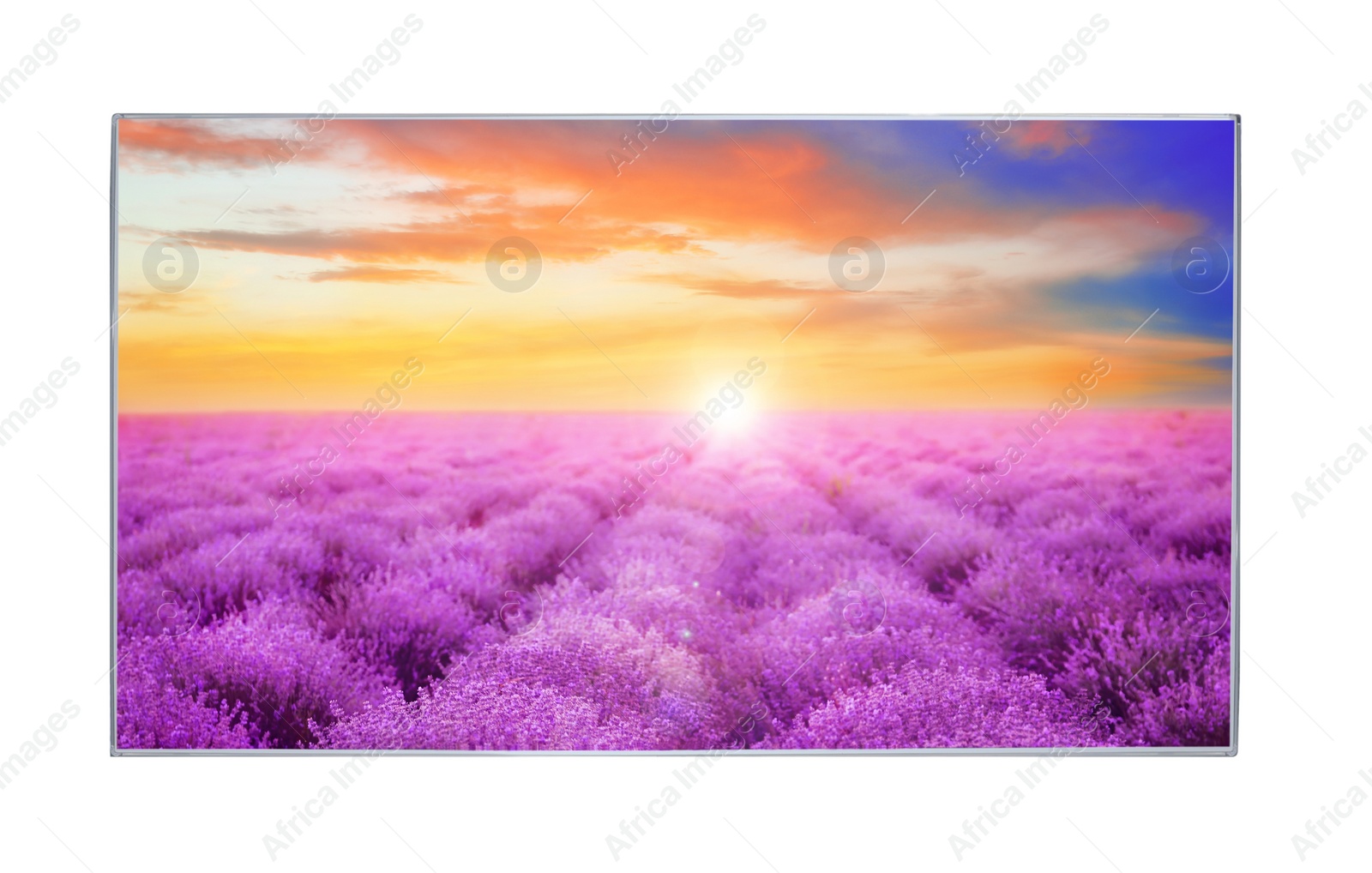 Image of Modern wide screen TV monitor showing bright lavender field, isolated on white