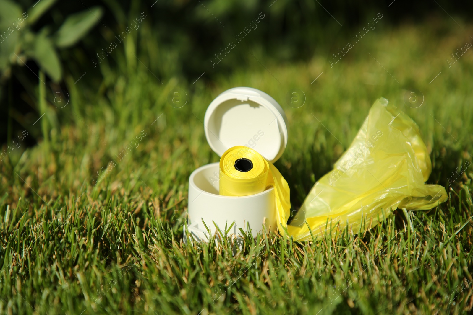 Photo of Holder with dog waste bags in green grass on sunny day