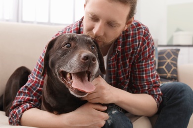 Adorable brown labrador retriever with owner on couch indoors