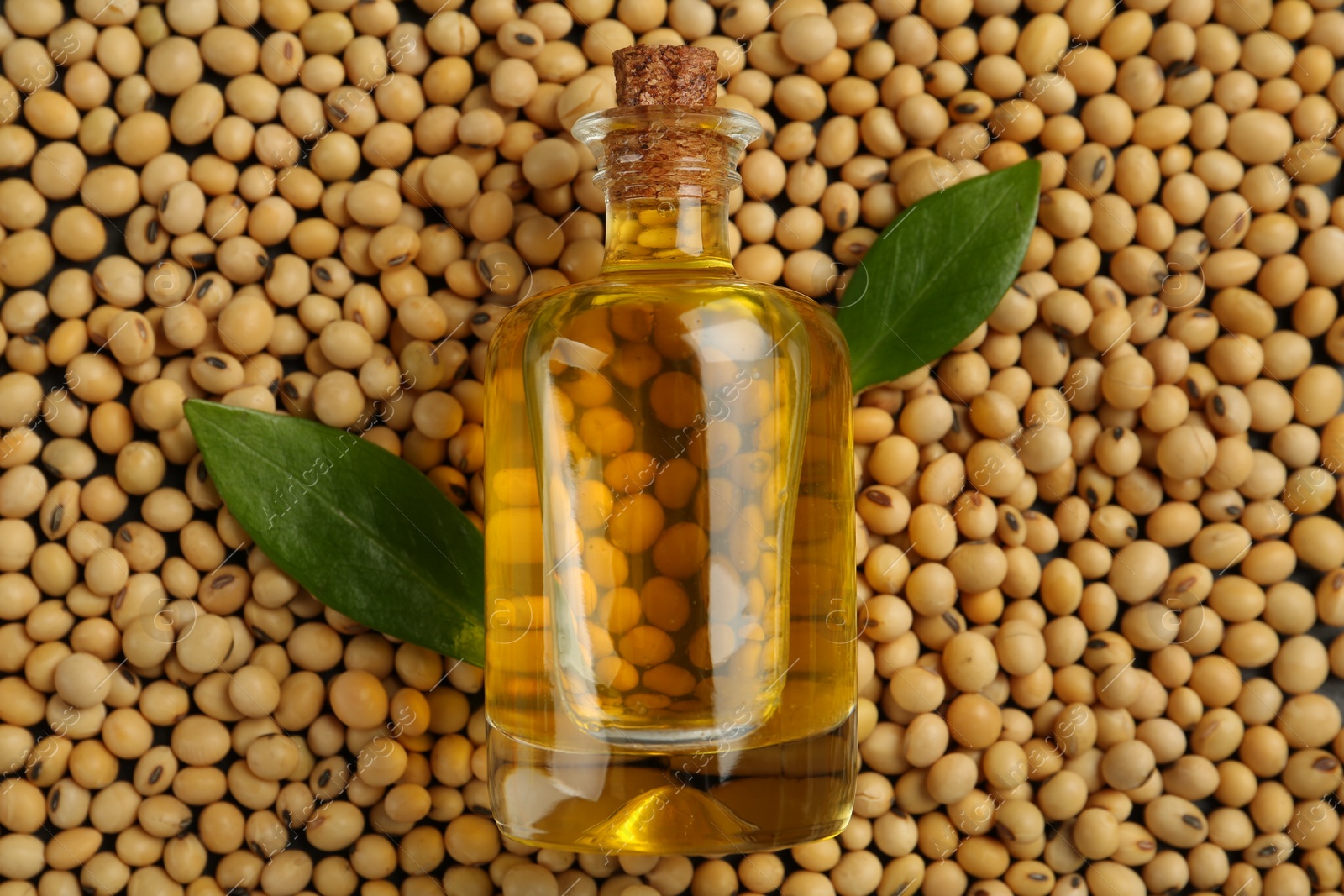 Photo of Bottle of oil and green leaves on soybeans, top view