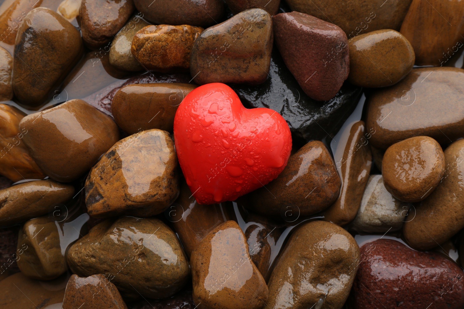 Photo of Red decorative heart on stones and water, top view