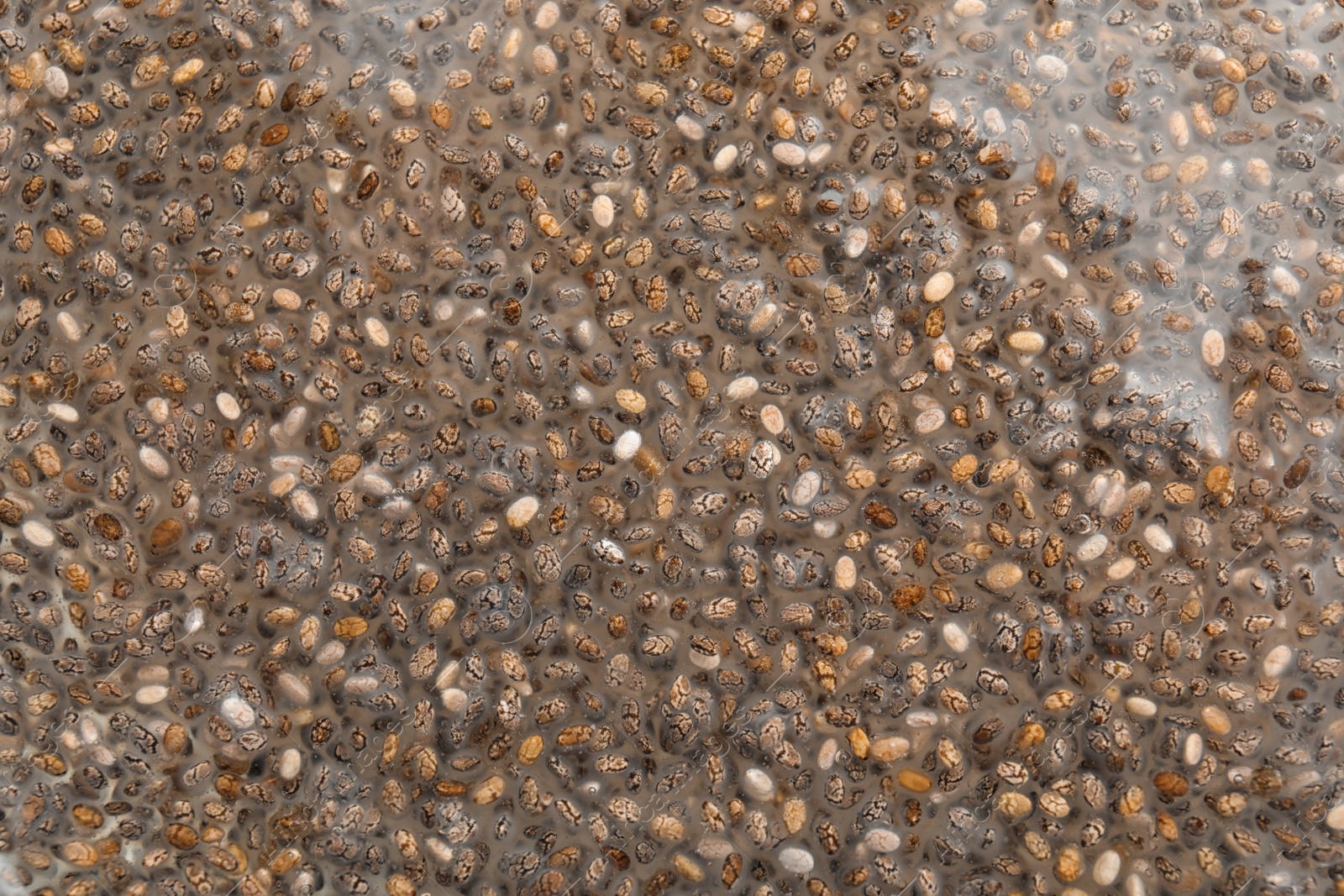 Photo of Chia seeds in water as background, closeup