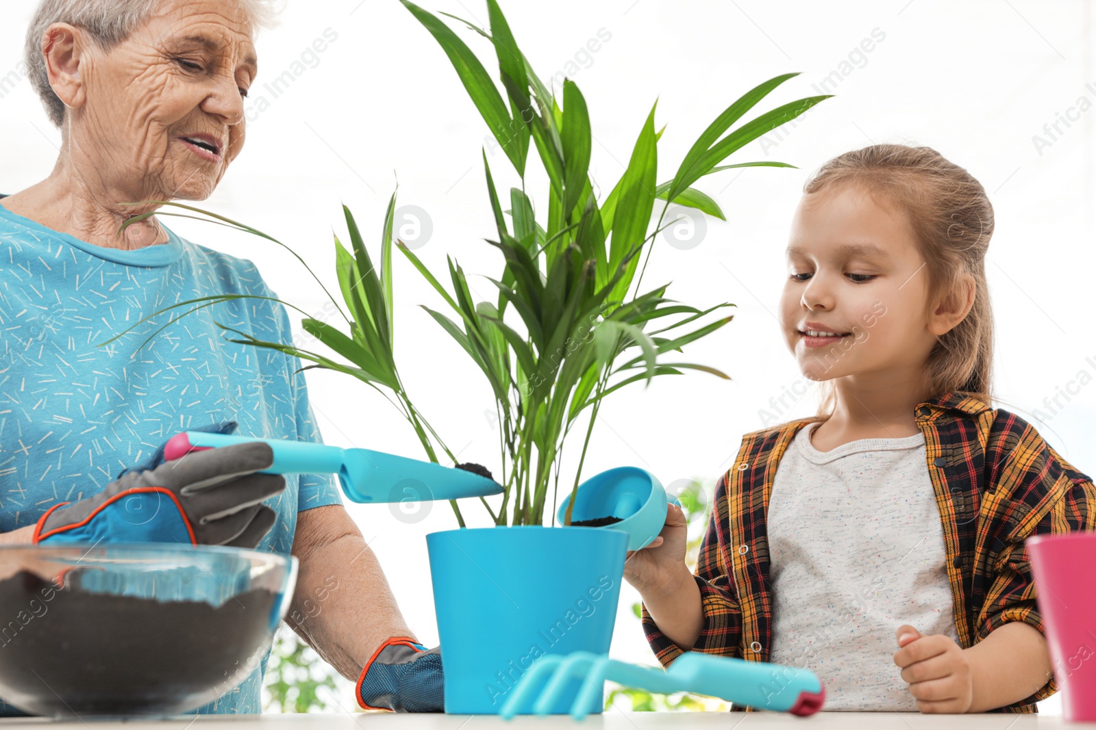 Photo of Little girl and her grandmother taking care of plants indoors