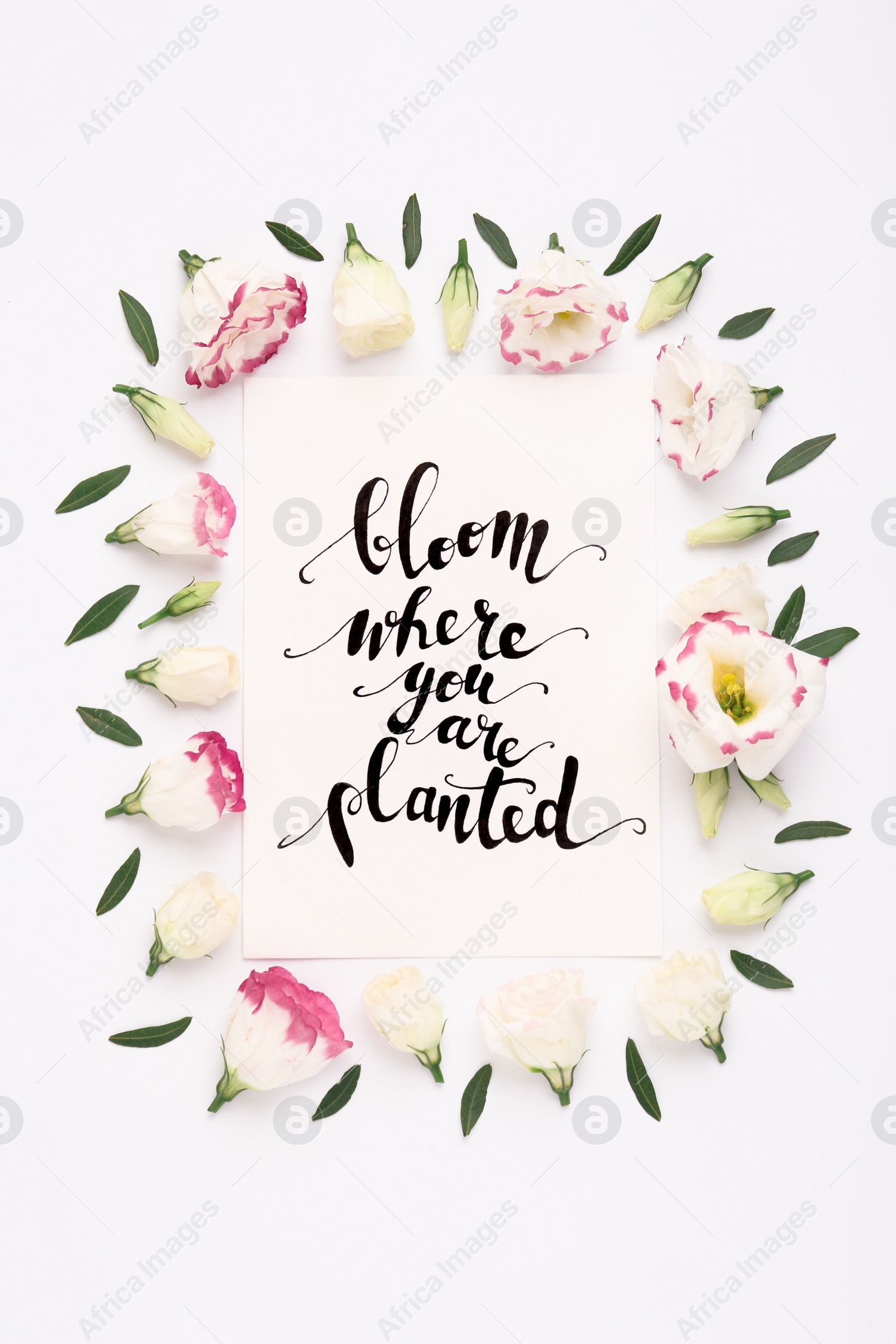 Photo of Frame of beautiful flowers and paper card with handwritten text Bloom where you are planted on white background, flat lay