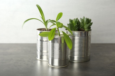 Beautiful houseplants in tin cans on grey stone table