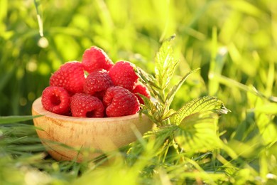 Photo of Tasty ripe raspberries in bowl on green grass outdoors, closeup