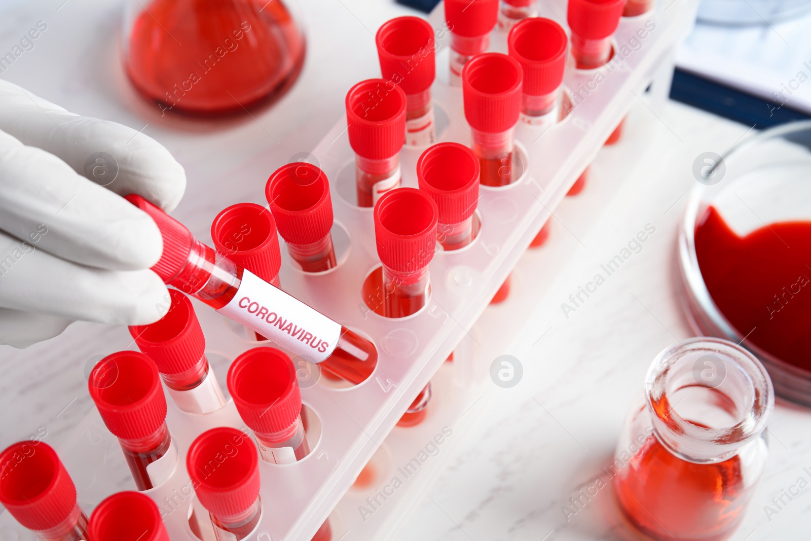 Photo of Scientist taking test tube with blood sample and label CORONA VIRUS from rack in laboratory, closeup