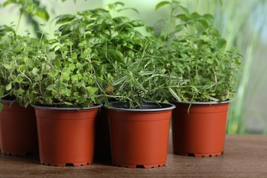 Photo of Different aromatic potted herbs on wooden table, closeup