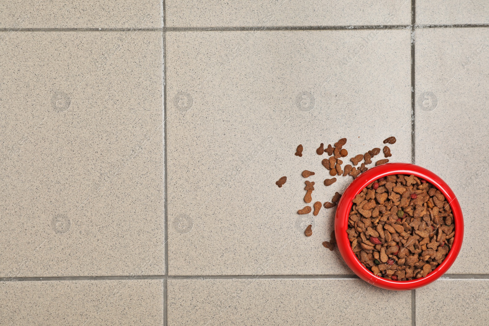 Photo of Bowl with food for cat or dog on floor. Pet care