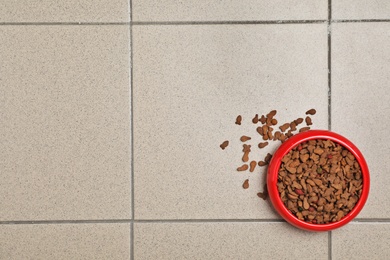 Bowl with food for cat or dog on floor. Pet care