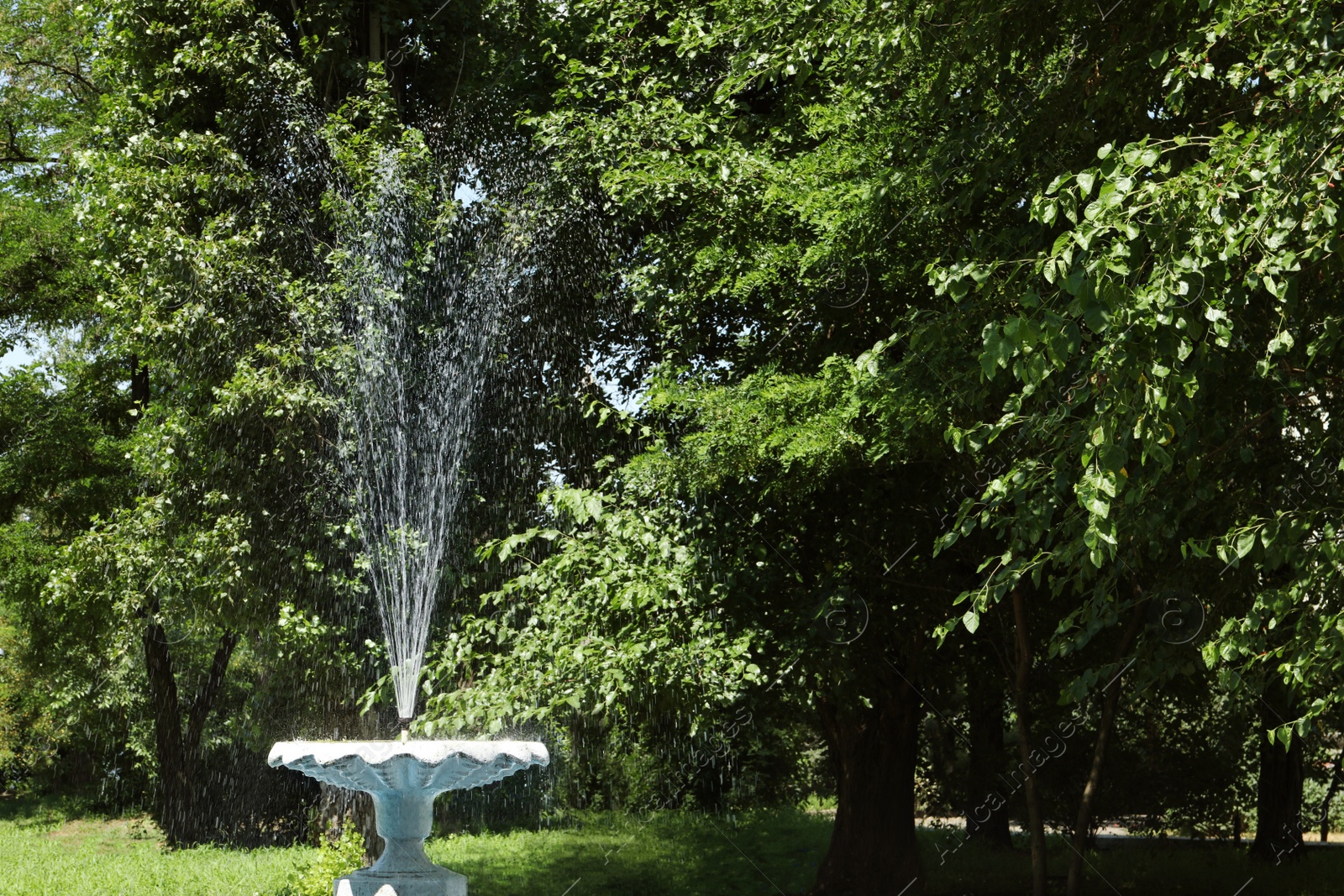 Photo of Beautiful view of fountain in park on sunny day