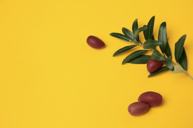 Photo of Fresh olives and green leaves on yellow background. Space for text