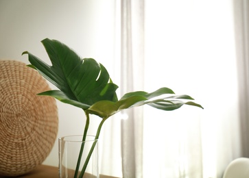 Photo of Green tropical leaves in vase on table. Modern decor for stylish interior