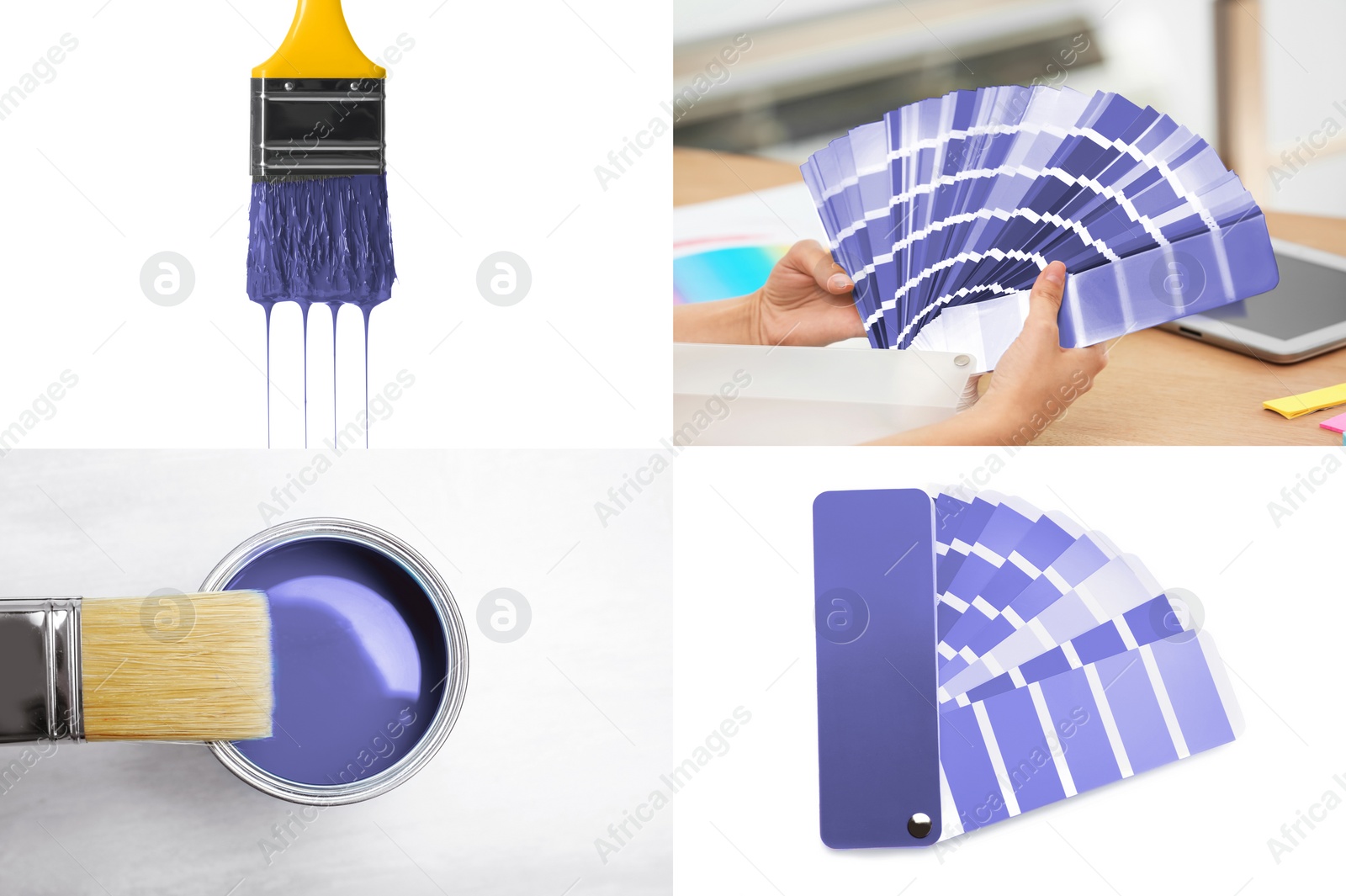 Image of Collage with different photos of violet paints and color palettes