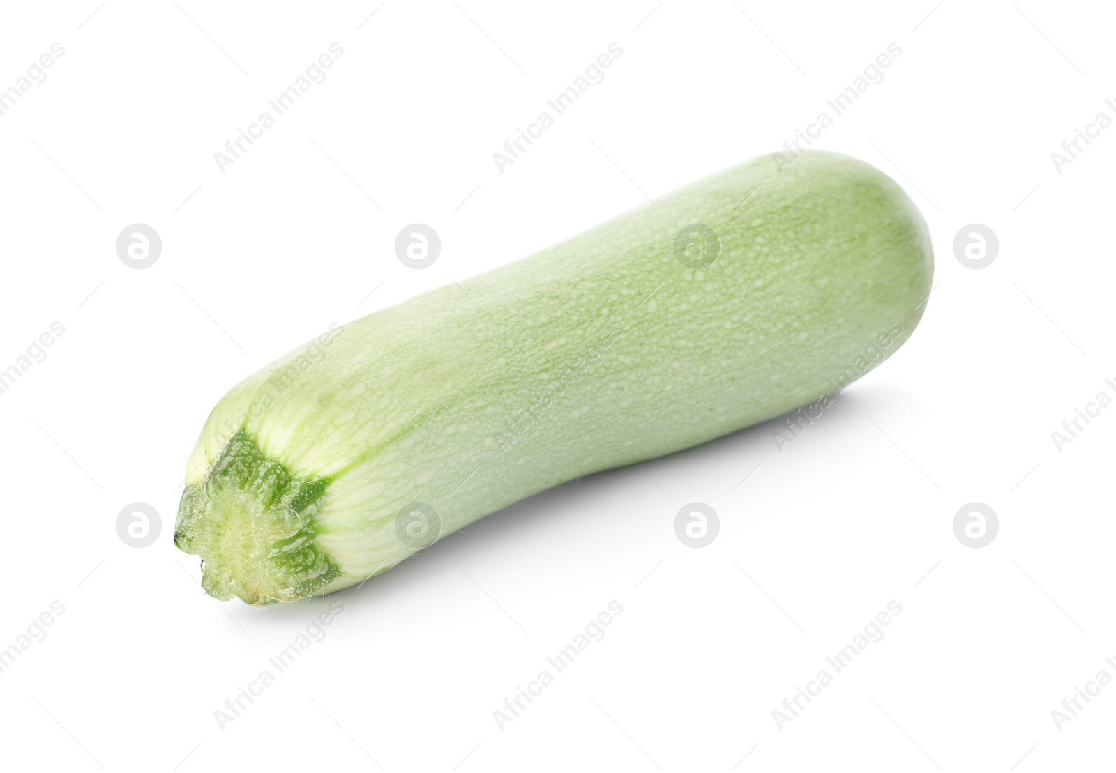 Photo of Raw green ripe zucchini isolated on white