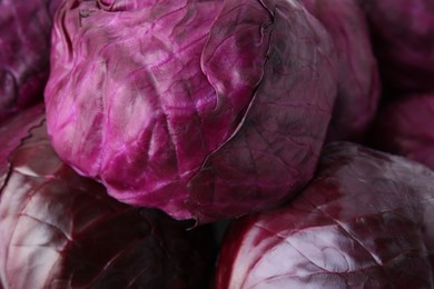 Photo of Many whole red cabbages as background, closeup