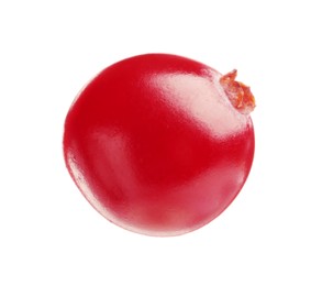 One fresh ripe cranberry isolated on white