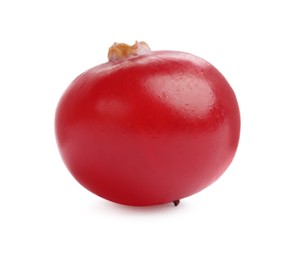 Photo of One fresh ripe cranberry isolated on white