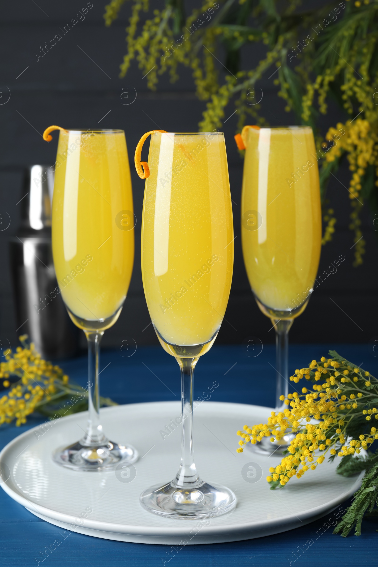 Photo of Glasses of Mimosa cocktail with flowering branches on light blue wooden table