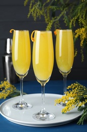 Glasses of Mimosa cocktail with flowering branches on light blue wooden table