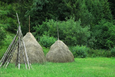 Photo of Stacks of hay outdoors at summer. Rural lifestyle