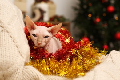 Adorable Sphynx cat with colorful tinsels on soft blanket