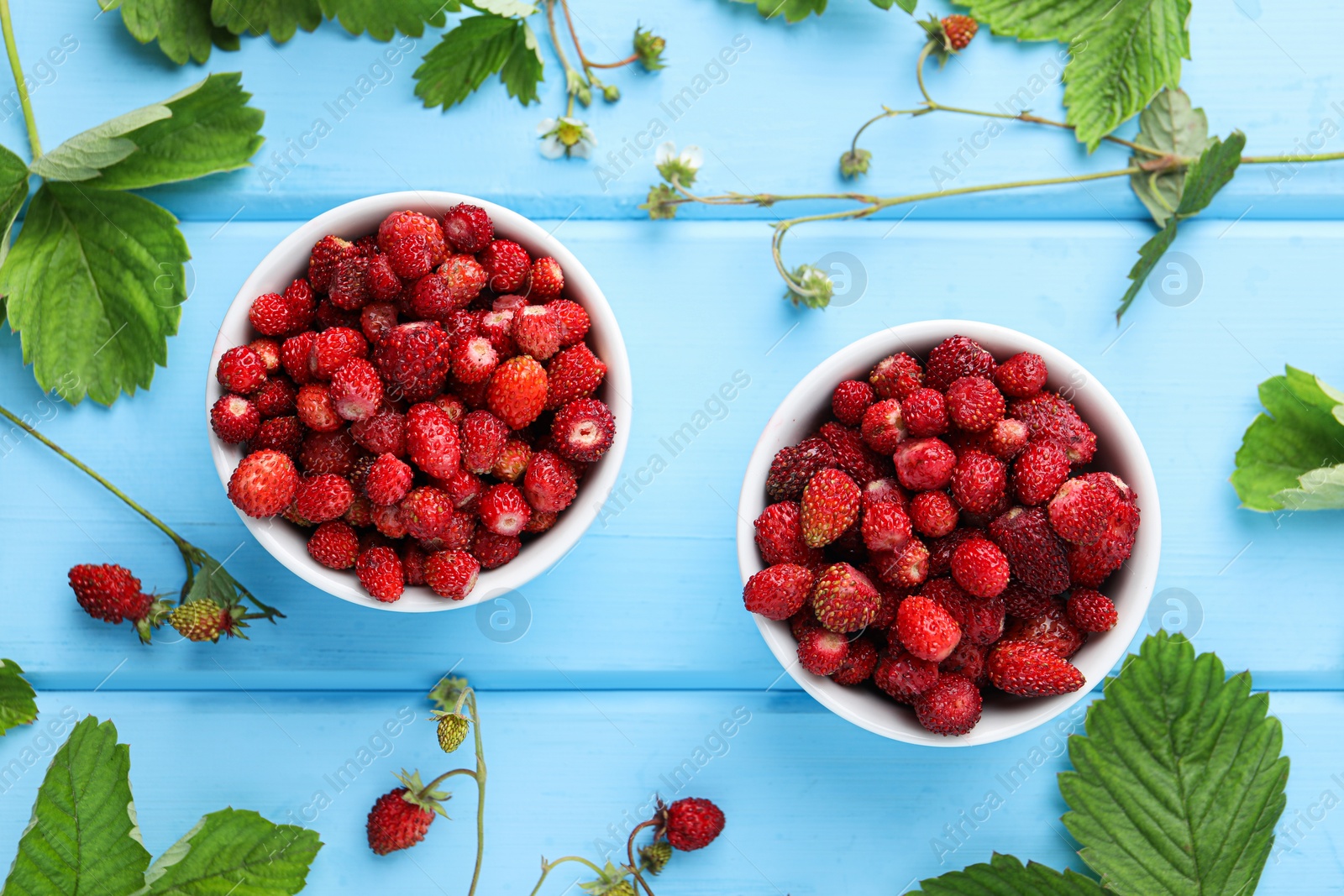 Photo of Fresh wild strawberries in bowls, flowers and leaves on light blue wooden table, flat lay