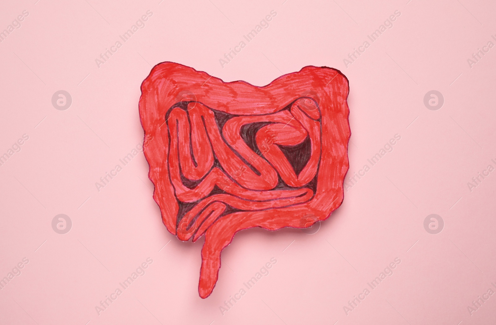 Photo of Paper cutout of small intestine on pink background, top view