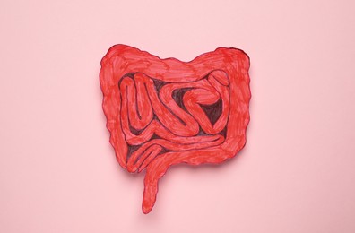 Paper cutout of small intestine on pink background, top view