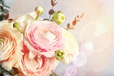 Image of Beautiful spring ranunculus flowers on color background, closeup