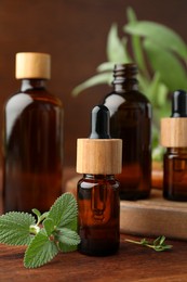 Photo of Bottles of essential oils and fresh herbs on wooden table