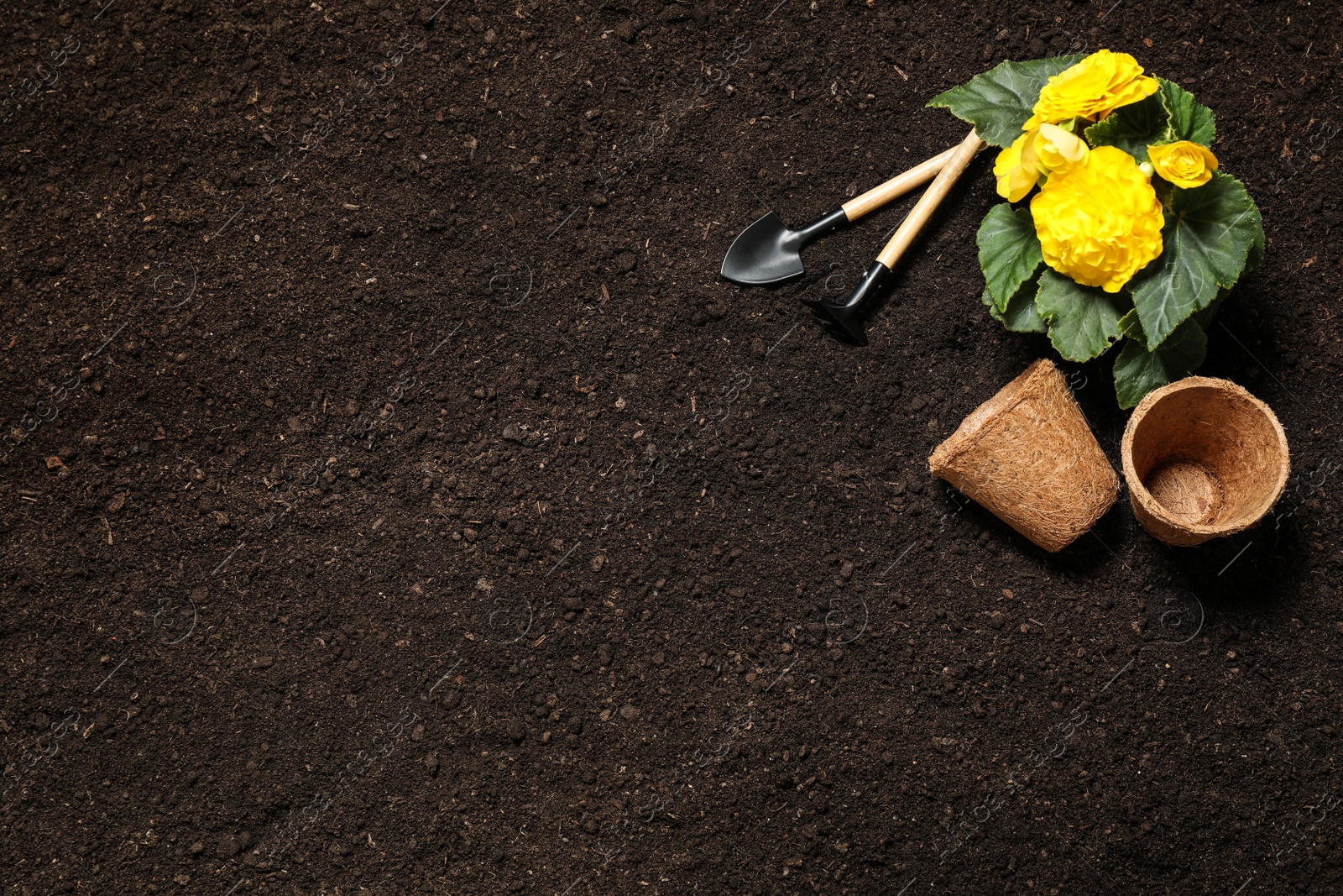 Photo of Flat lay composition with gardening tools and flower on soil, space for text