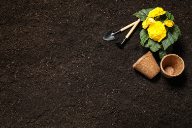 Flat lay composition with gardening tools and flower on soil, space for text