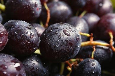 Fresh ripe juicy grapes as background, closeup