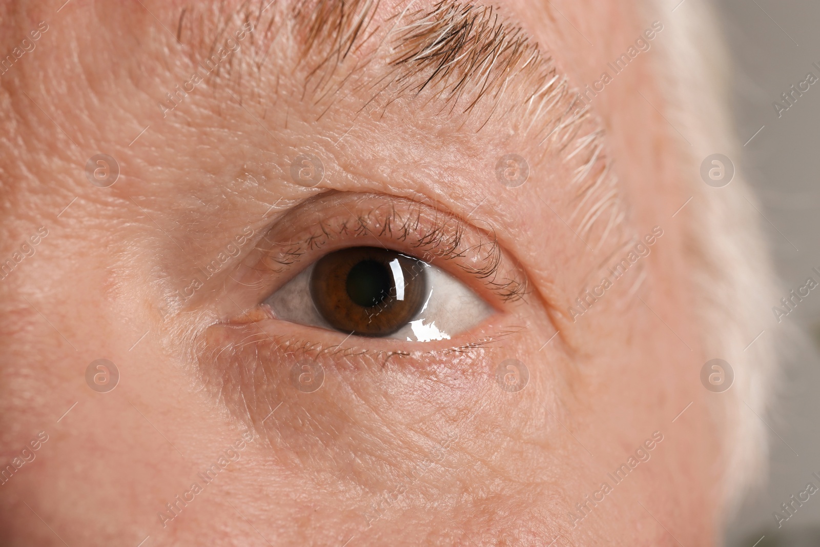 Photo of Wrinkled face of elderly man, closeup of eye