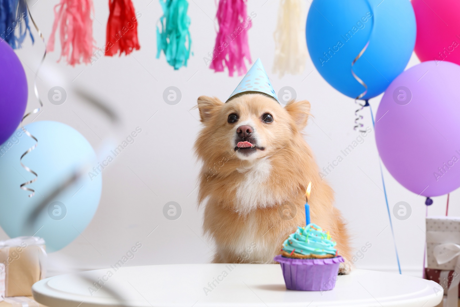 Photo of Cute dog wearing party hat at table with delicious birthday cupcake in decorated room