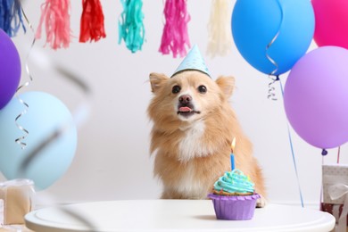 Photo of Cute dog wearing party hat at table with delicious birthday cupcake in decorated room