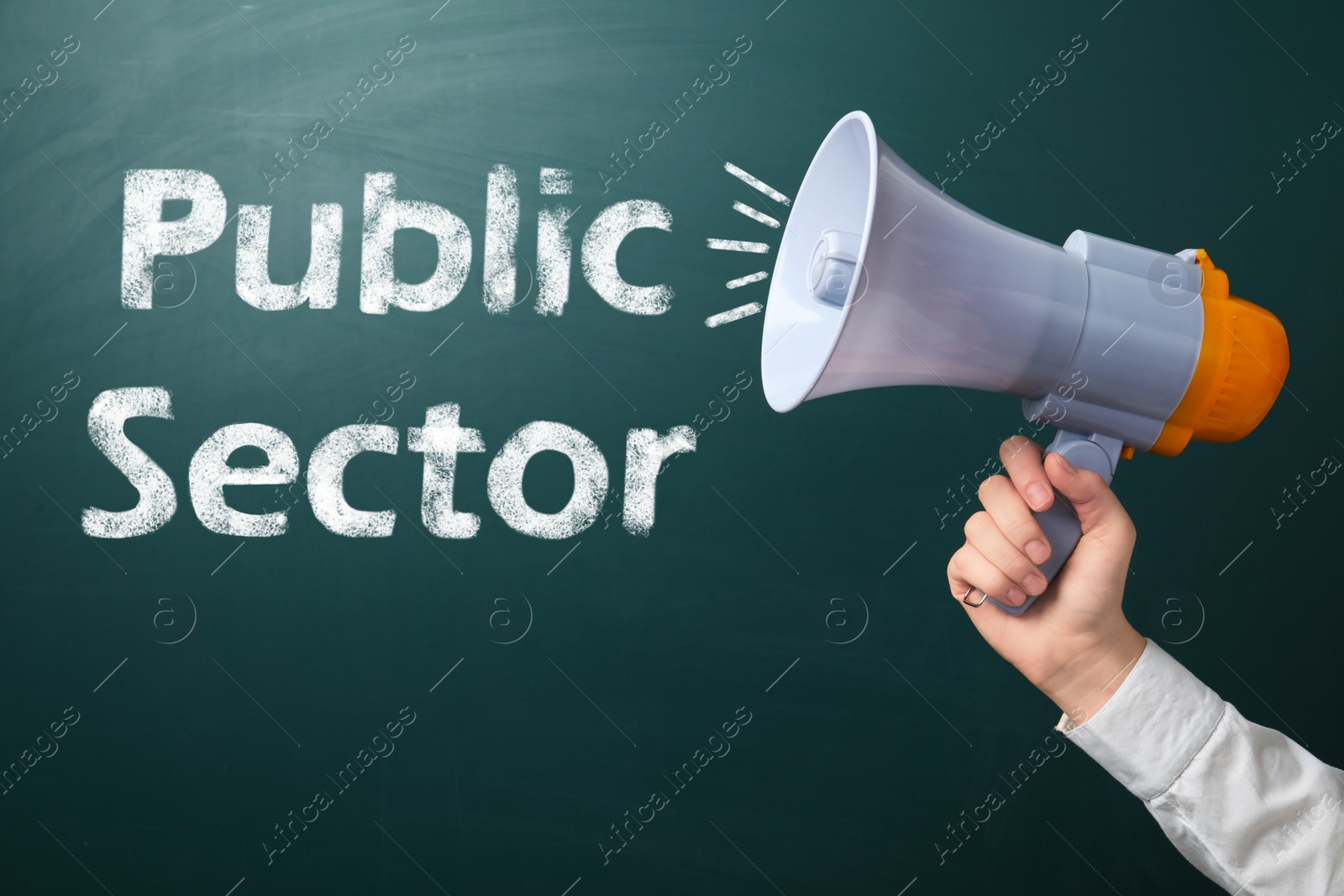 Image of Man holding megaphone near chalkboard with phrase Public Sector