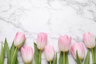 Beautiful tulips  on white marble table, flat lay. Space for text