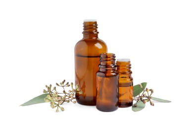 Photo of Bottles of eucalyptus essential oil and plant branches on white background