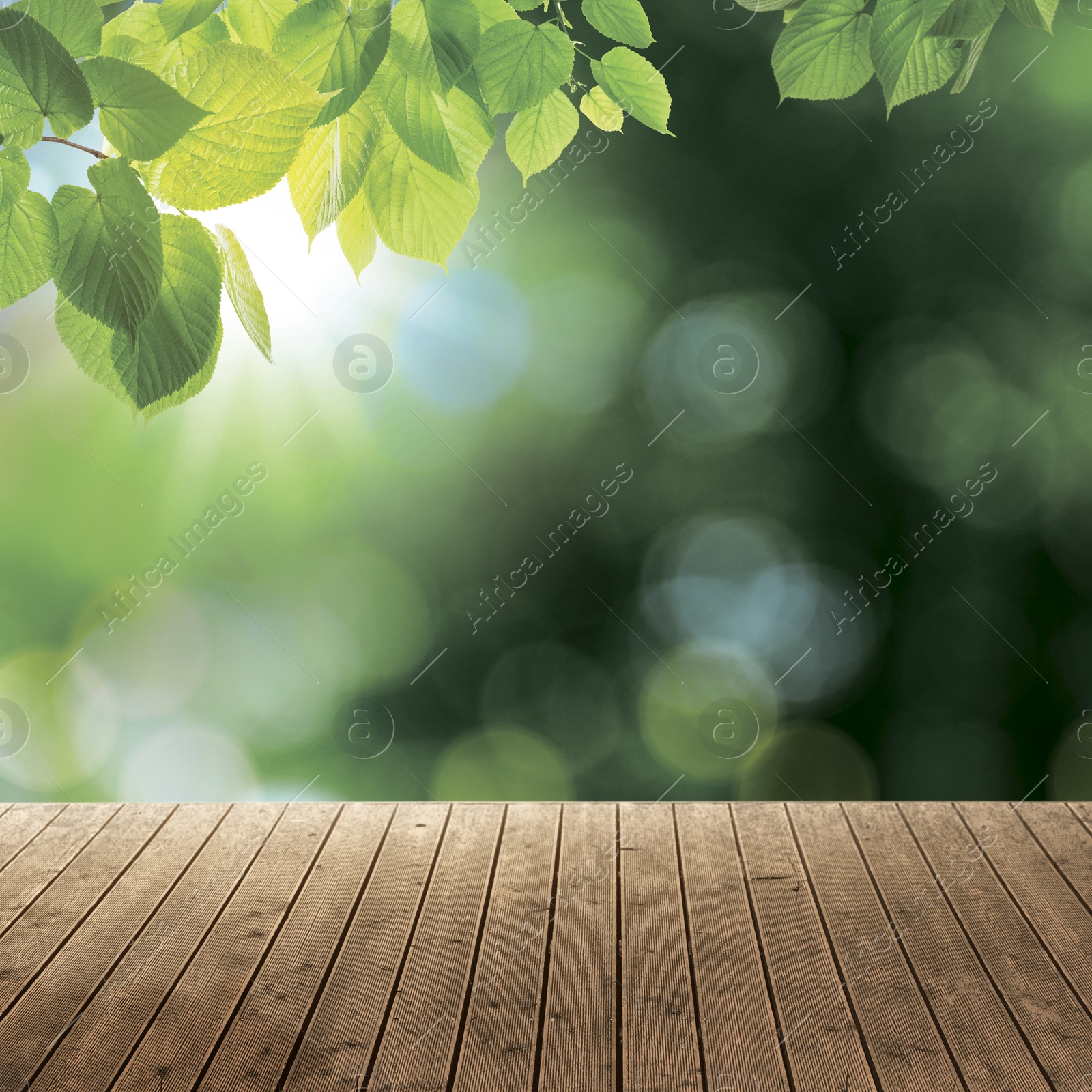 Image of Empty wooden surface and beautiful green leaves on blurred background. Bokeh effect