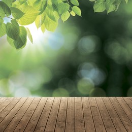 Empty wooden surface and beautiful green leaves on blurred background. Bokeh effect